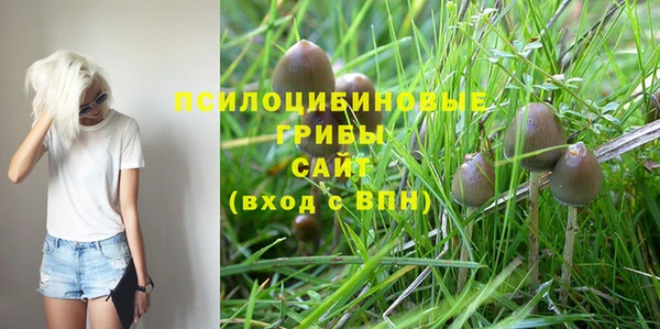 2c-b Алзамай