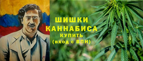 ПСИЛОЦИБИНОВЫЕ ГРИБЫ Приозерск