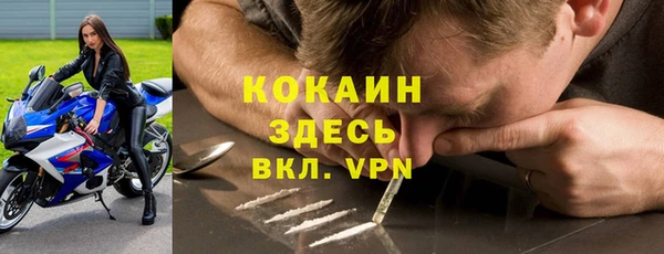 ALPHA PVP Алексеевка