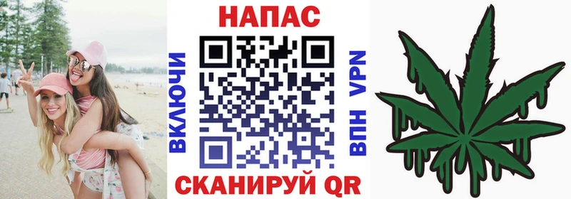 Конопля сатива Навашино